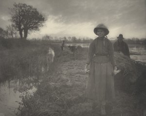 Polering af marskens hø, 1886 (foto)