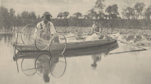 Udlægning af bue-nettet,1886 (foto)