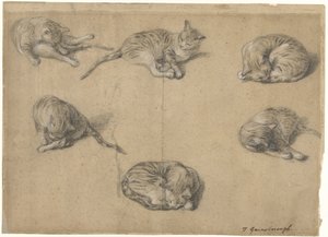 Seks undersøgelser af en kat af Thomas Gainsborough