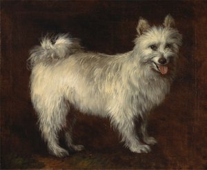 Spidshund af Thomas Gainsborough