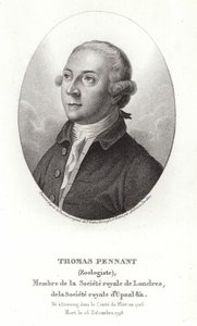 Thomas Pennant af Thomas Gainsborough