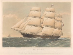 Klippeskibet Taeping, 767 tons af Thomas Goldsworth Dutton