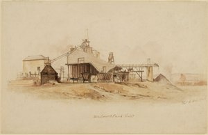 Whitworth Park Colliery af Thomas H. Hair