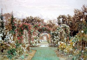 Crimson Rambler i Clandon Park