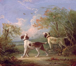 Spaniels i et landskab