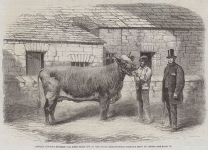 Kaptajn Gunters hertuginde 77., førstepræmieko ved Royal Agricultural Society