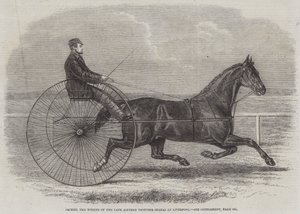 Jackey, vinderen af den afdøde Aintree Trotting Stakes i Liverpool af Thomas Harrington Wilson