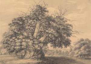 Kastanjetræet ved Little Wymondley, Hertfordshire af Thomas Hearne