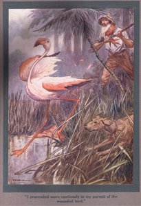 Jeg gik mere forsigtigt frem i min jagt på den sårede fugl (farvelitografi) af Thomas Heath Robinson