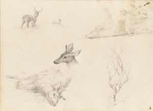 Skitsebog over Landskabs- og Dyrefag, 1860-64.