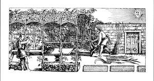 Arbor bygges som en skygge mod solen, fra 