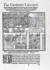 Lysthus bygget som en skygge mod solen og beplantning i højbede, fra The Gardeners Labyrinth, 1577 af Thomas Hill