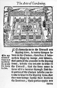 Elizabethansk have fra The profitable arte of gardening, 1568