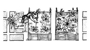Plantning i højbede, fra "The Gardener