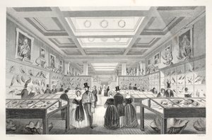 British Museum, Zoological Gallery, fra pubben 