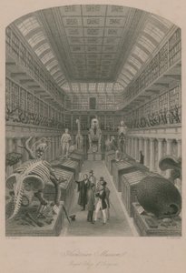 Hunterian Museum, Royal College of Surgeons, London af Thomas Hosmer Shepherd