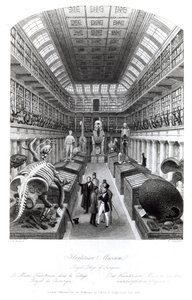 The Hunterian Museum, illustration til 