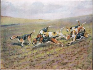 På vej over markerne, illustration fra "Hounds