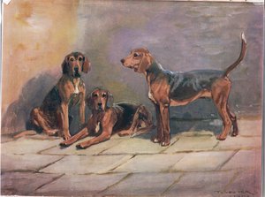 Hunde, illustration fra 