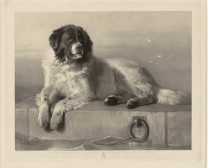 Portræt af redningshunden Bob, liggende på en mole Et fremtrædende medlem af Humane Society (titel på objekt) af Thomas Landseer