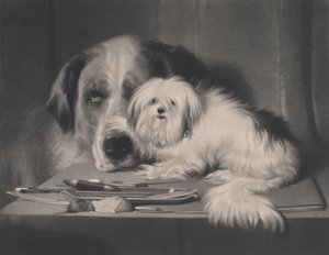 Løvehunden fra Malta - Den sidste af hans stamme, 1844. af Thomas Landseer