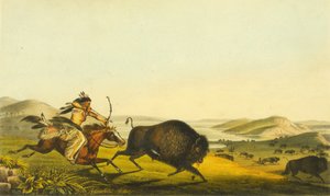 Jagt på bøffel, 1848 (håndkoloreret litografi)