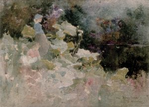 Isfuglen, 1899