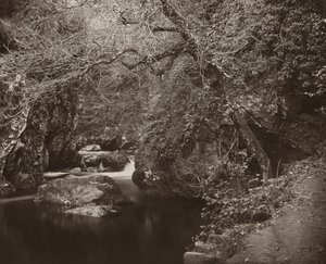 The Dargle Hole, ca. 1865. af Thomas Marcus Brownrigg