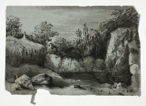 Rocky Pool