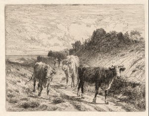 Køer af Thomas Moran