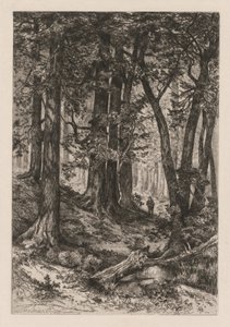 Interiør af en californisk skov (efter Thomas Moran (amerikansk af Thomas Moran
