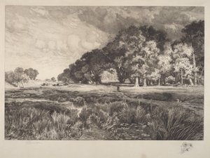 Landskab på Long Island