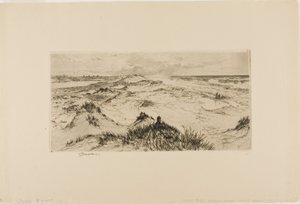 Kigger over sandklitterne - Easthampton af Thomas Moran
