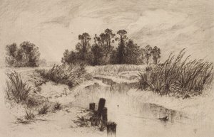 Sumpet landskab med bæk af Thomas Moran