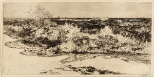 Det brusende hav af Thomas Moran