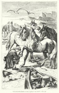 Illustration til Gullivers rejser af Jonathan Swift (gravering) af Thomas Morten