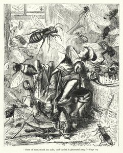 Illustration til Gullivers rejser af Jonathan Swift (gravering) af Thomas Morten