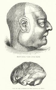 Illustration for livet af Jonathan Swift (gravering) af Thomas Morten