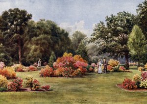 Kew Gardens: The Azalea (farve litho)