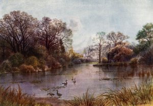 Kew Gardens: The Lake (farve litho)