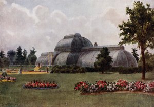 Kew Gardens: The Palm House (farve litho) af Thomas Mower Martin