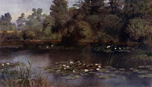 Kew Gardens: The Water Lily Pond (farve litho) af Thomas Mower Martin