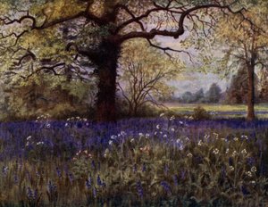 Kew Gardens: Wild Hyacinths (farve litho)