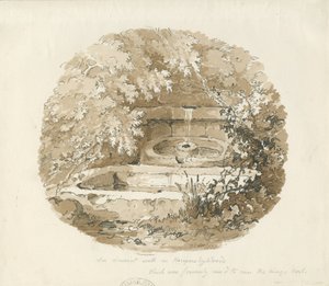 Biddulph - Ancient Well i Knypersley Woods: sepia tegning
