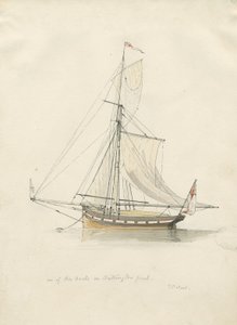 Chillington Park - Pool: pen og vandfarve tegning, nd [1837-1838] (tegning) af Thomas Peploe Wood