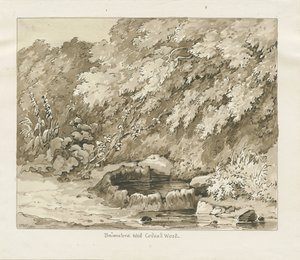 Codsall Wood - Brimstone Well: sepia tegning af Thomas Peploe Wood
