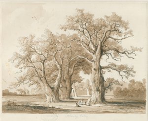 Teddesley Hall - Oak Trees: blyant- og vasketegning, nd [nov. 1842] (tegning)