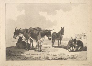 En gruppe på fem æsler, tre stående, to liggende, 1783-87. af Thomas Rowlandson