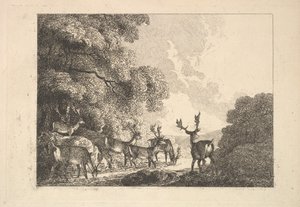 En gruppe hjorte, der drikker, 1784-88. af Thomas Rowlandson