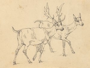 Album tegning af Thomas Rowlandson